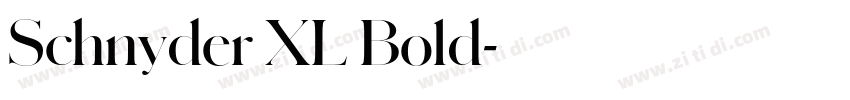 Schnyder XL Bold字体转换 Schnyder XL Bold字体转换